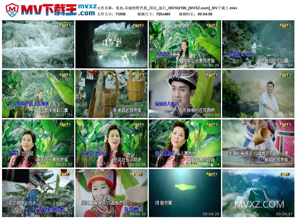 张也-美丽的野芭蕉_国语_流行_MD102196